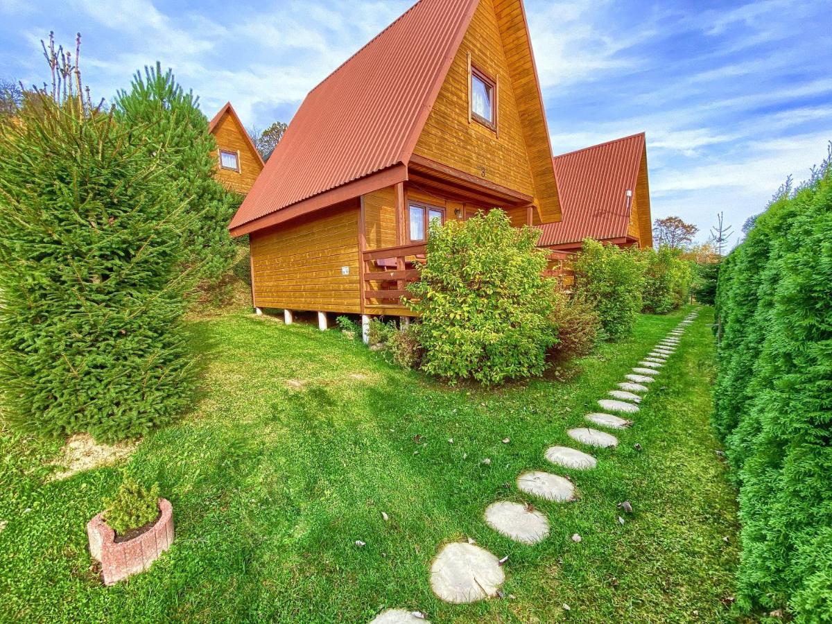 Nad Czarny Kot 509-797-777 Chalet *