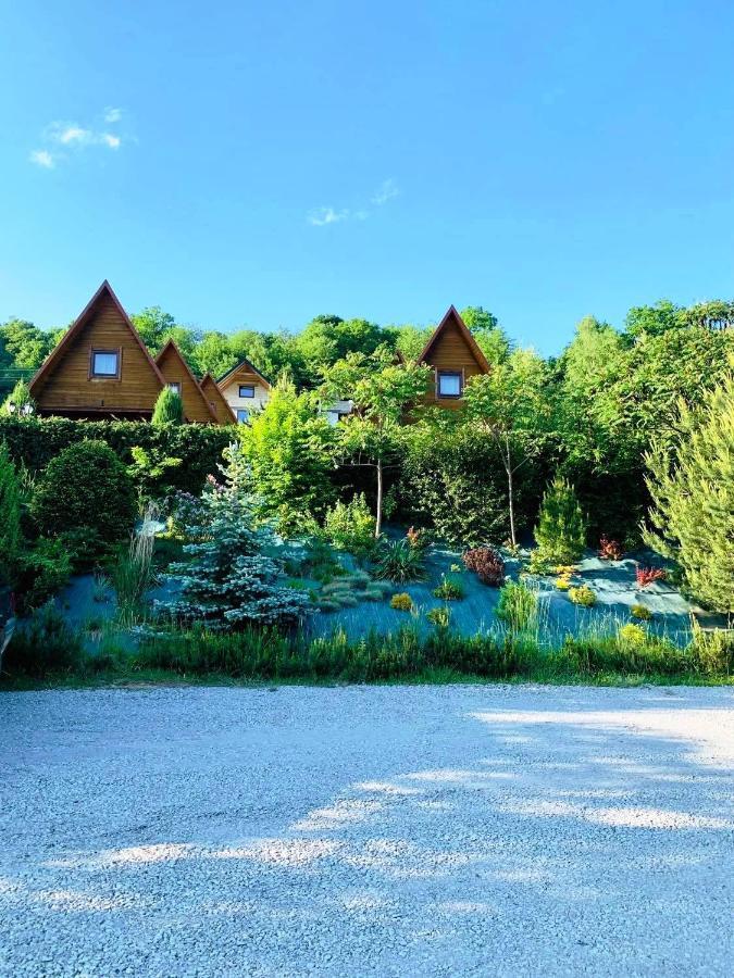 Nad Czarny Kot 509-797-777 Chalet Solina (Podkarpackie)