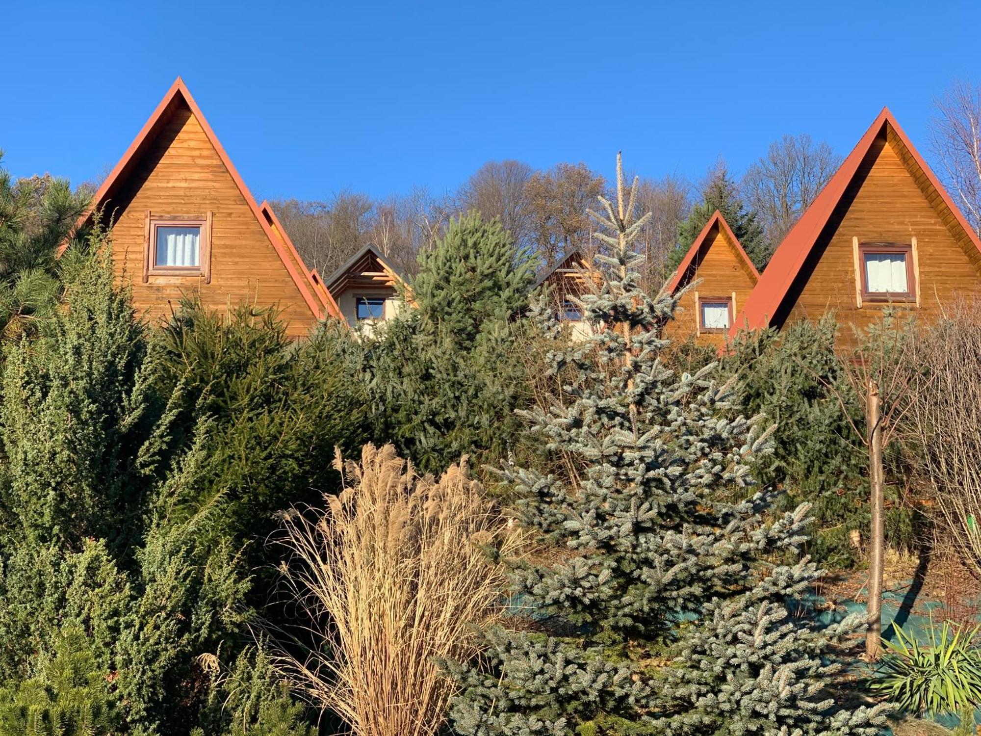 Chalet Nad Solina Czarny Kot 509-797-777 *